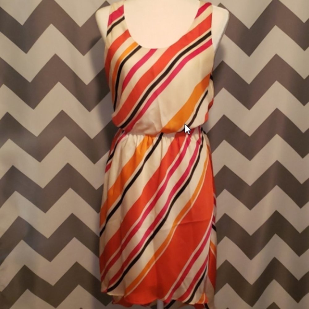 Express Orange and Pink Stripe Silk Dress
